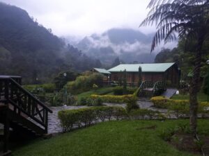 Ibague colombia