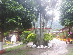 Pereira and Colombia's Coffee Region